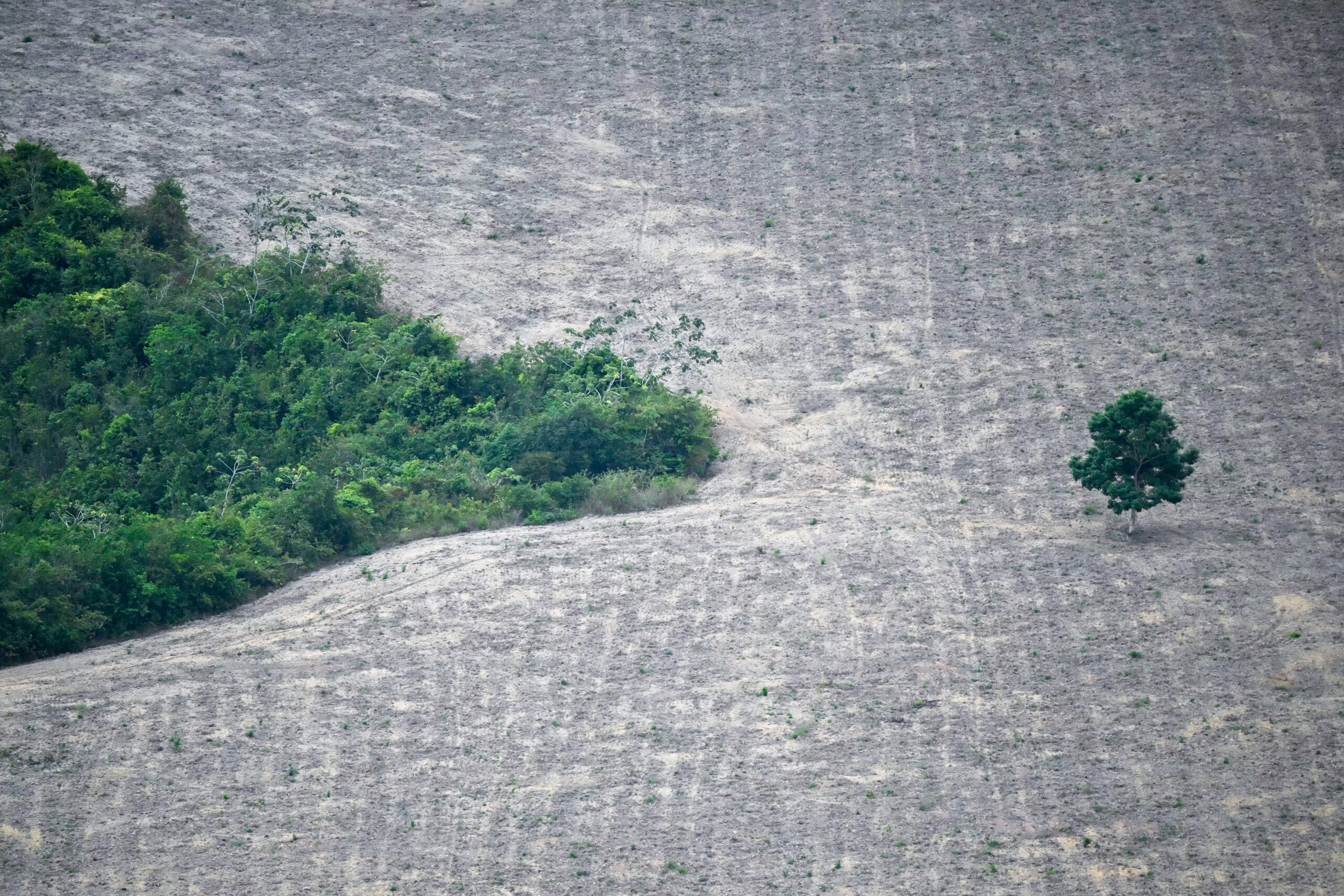 brazil climate cop30 un