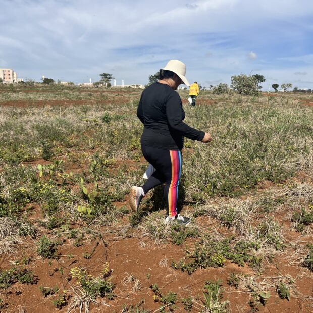 13.11. brasília ambiental2