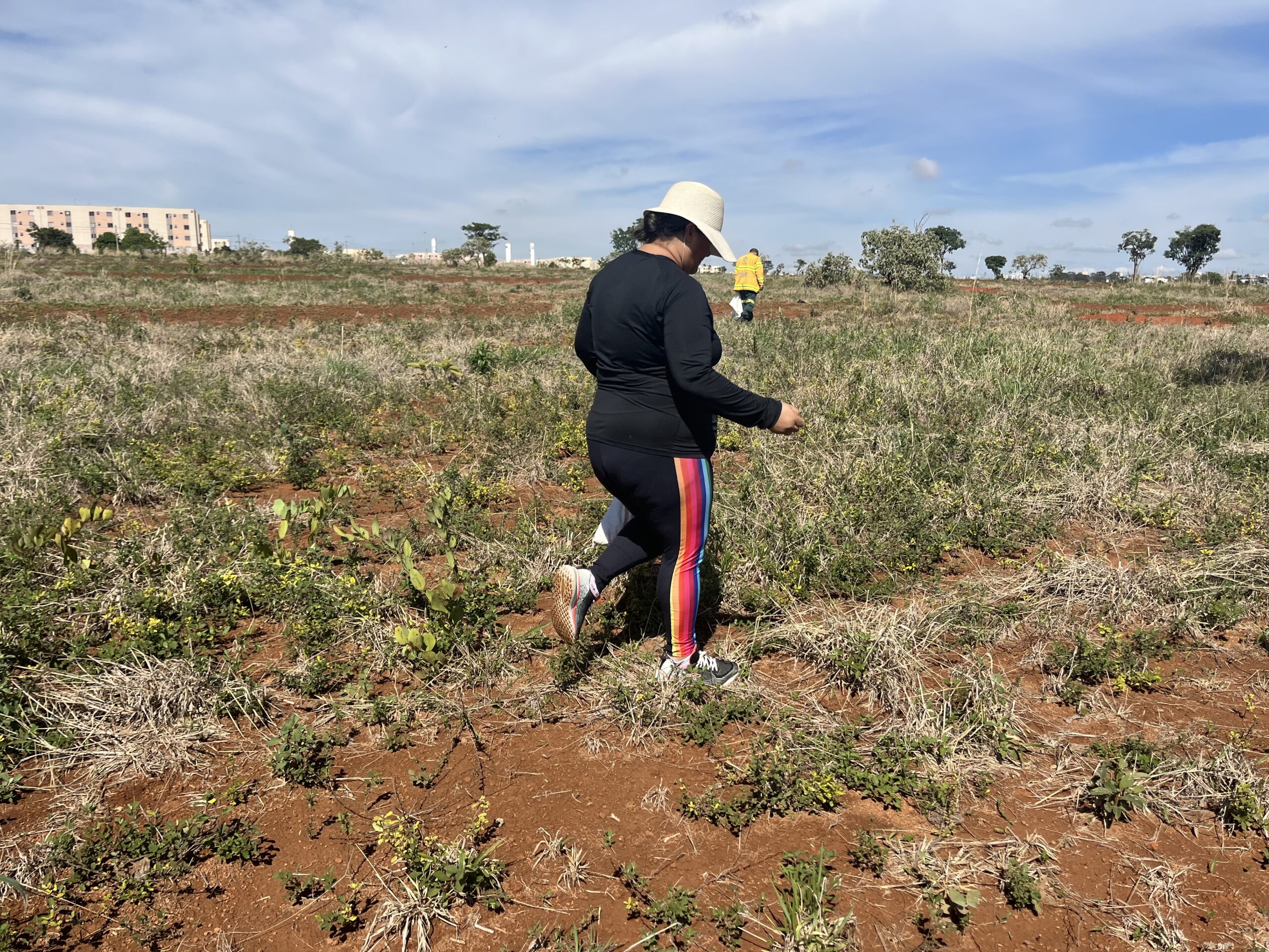 13.11. brasília ambiental2