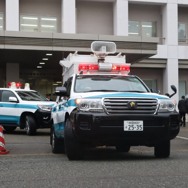 japan environment bear