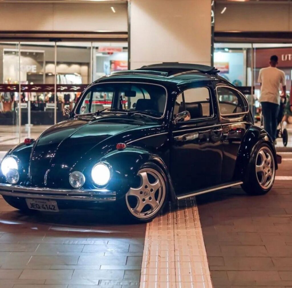 whatsapp image 2025 11 14 at 10.55.25