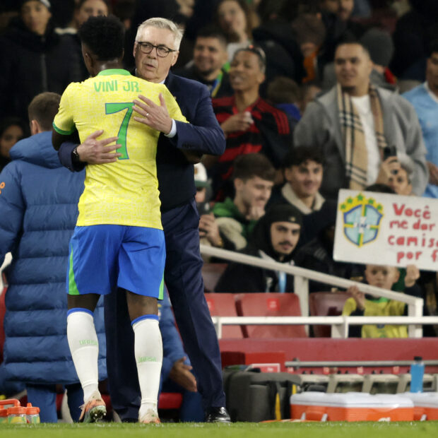 fbl sen bra friendly