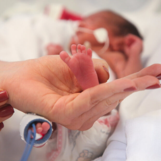 bebe criança prematuro recem nascido