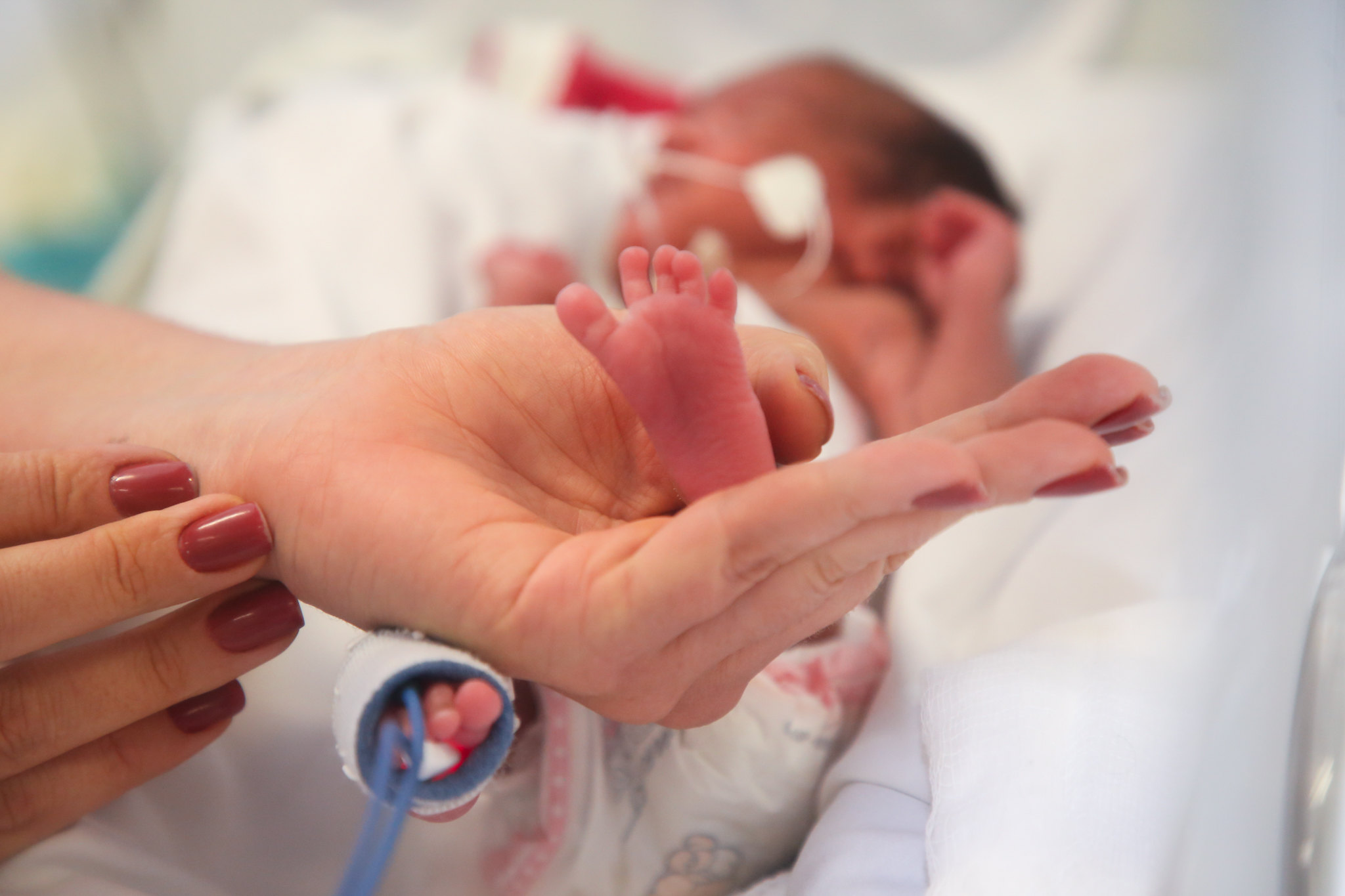 bebe criança prematuro recem nascido