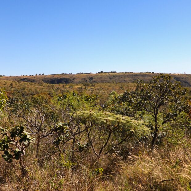 Foto: Matheus H. Souza/Agência Brasília