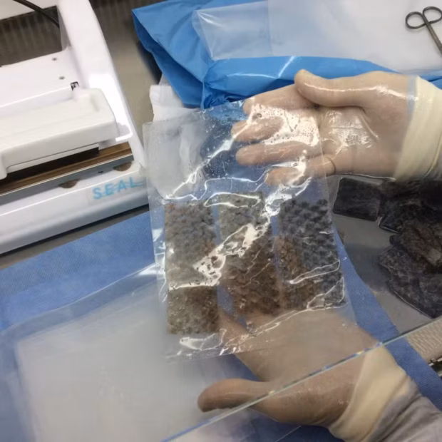 e03549c8 ab5a 4119 9570 2dcc0b1c45e2