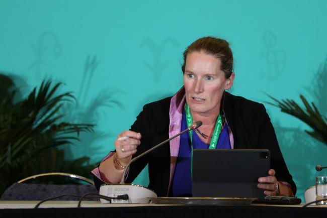 iisd enb cbdcop15 rcp 13dec22 kiaraworth 104