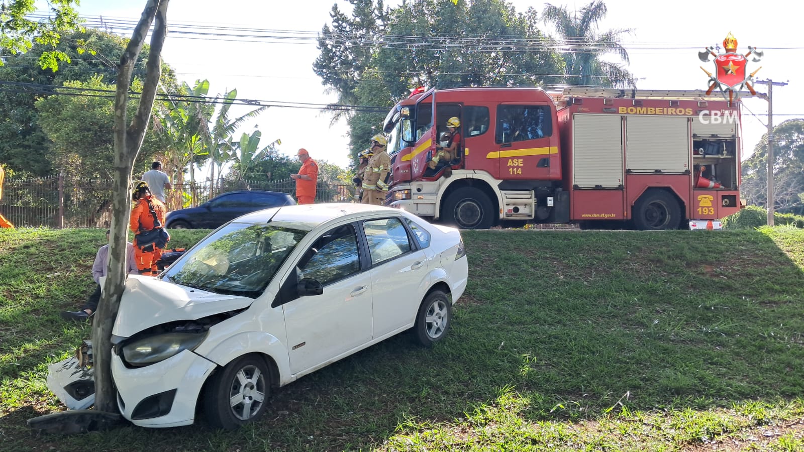 carro colide aarvore