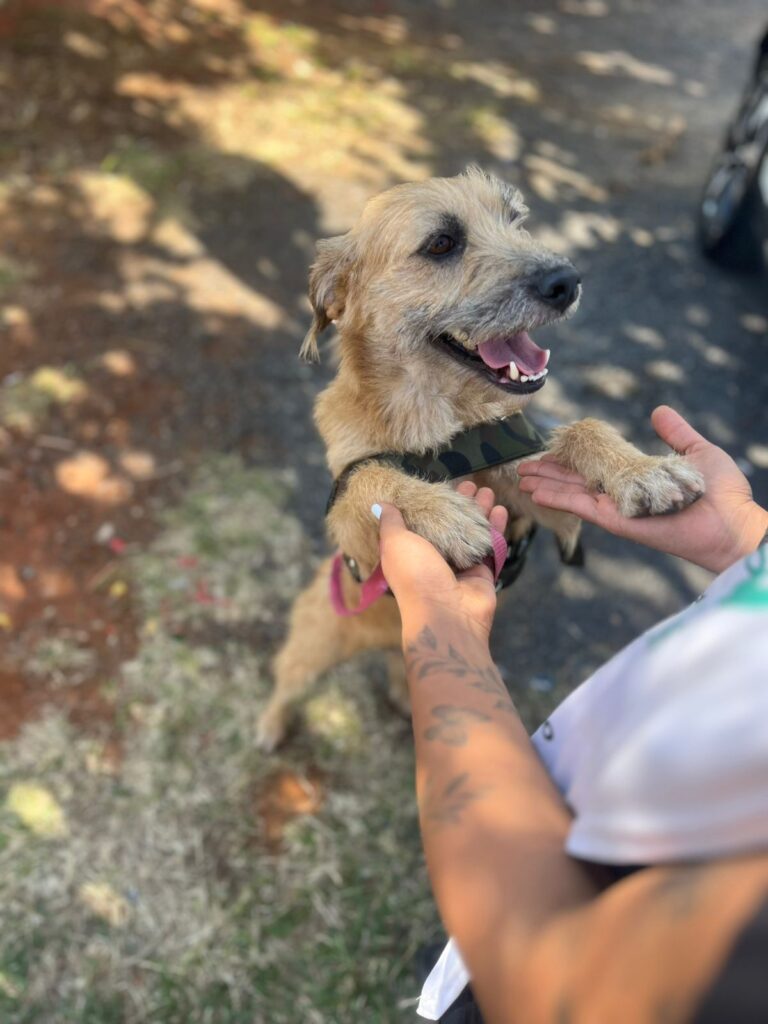 whatsapp image 2025 11 20 at 10.54.41