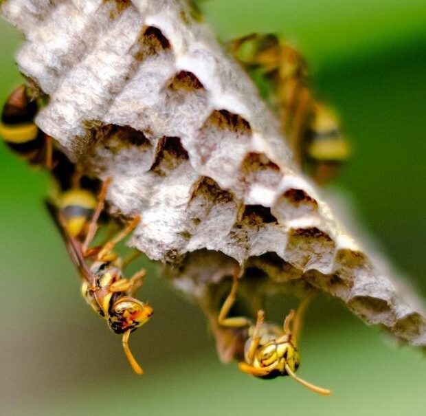 whatsapp image 2025 11 20 at 14.52.03