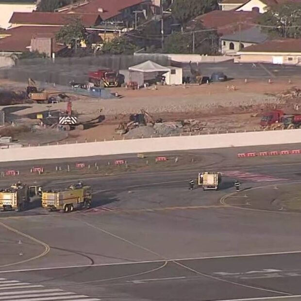 cachorro invade pista e fecha aeroporto de congonhas pelo segundo dia seguido