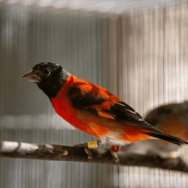 Foto: Margioni BERMÚDEZ / AFP