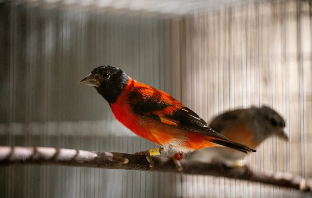 Foto: Margioni BERMÚDEZ / AFP
