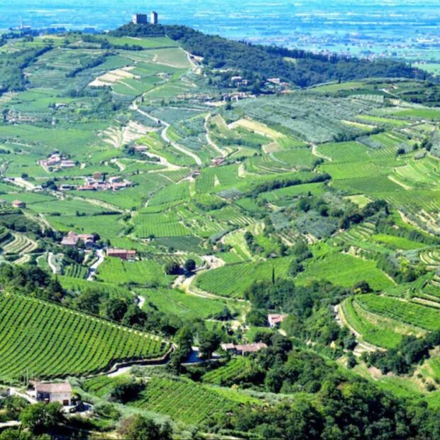 valpolicella