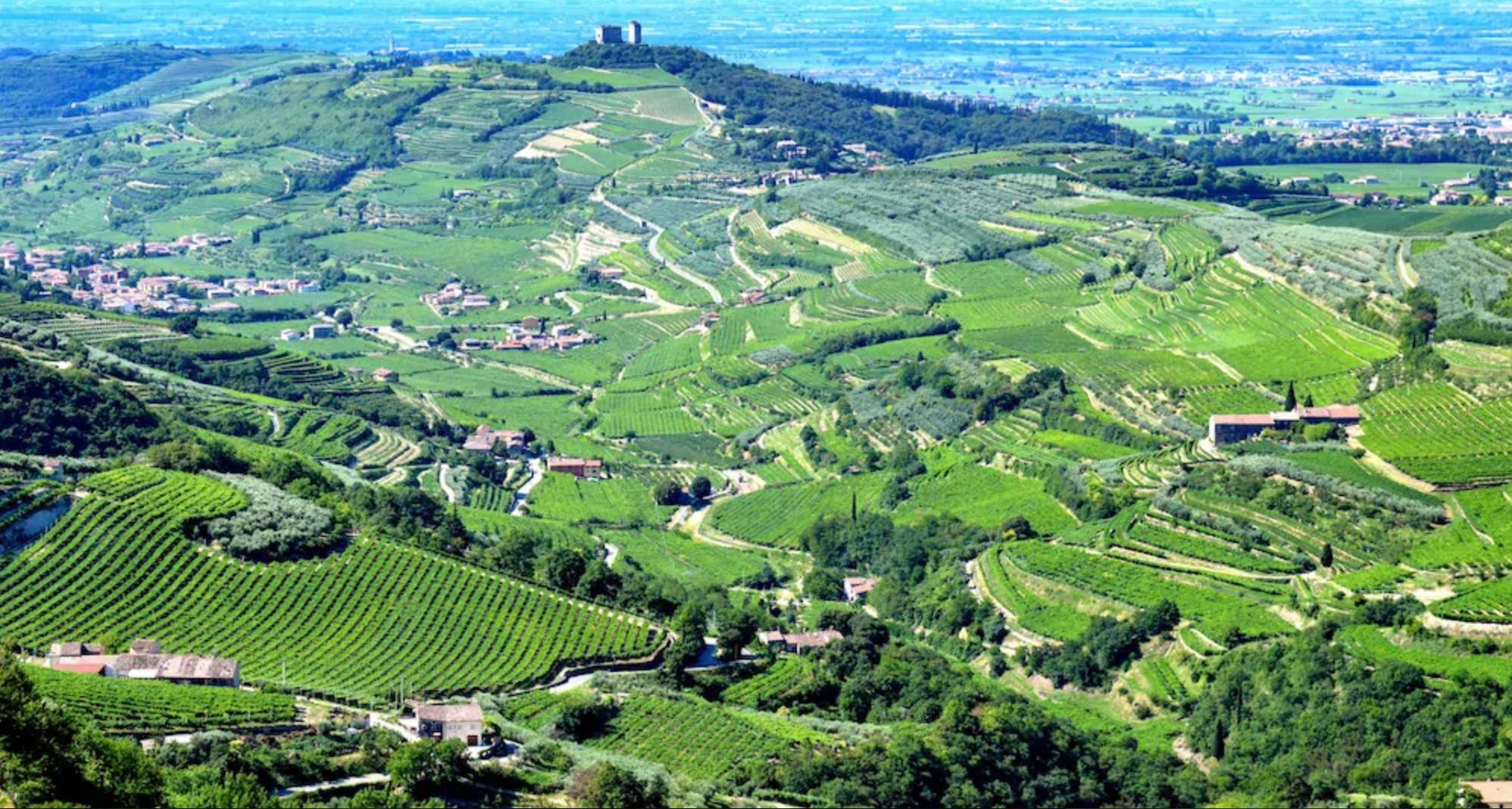 valpolicella