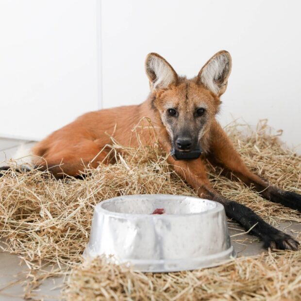 whatsapp image 2025 11 22 at 09.33.22 (1)