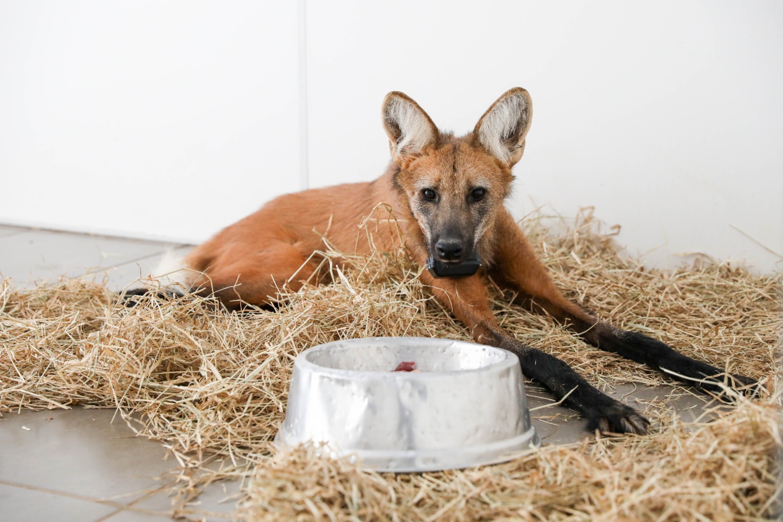 whatsapp image 2025 11 22 at 09.33.22 (1)