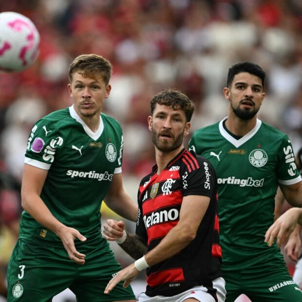 fbl bra flamengo palmeiras