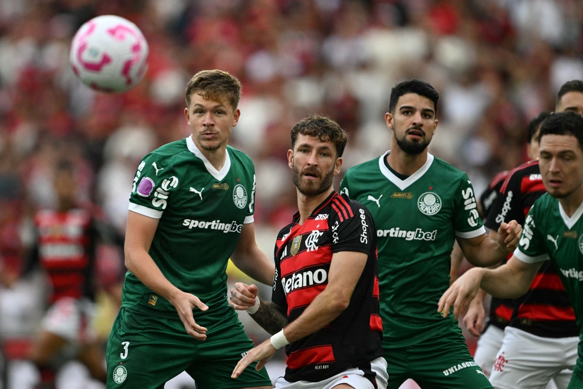 fbl bra flamengo palmeiras