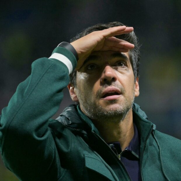 fbl libertadores palmeiras liga