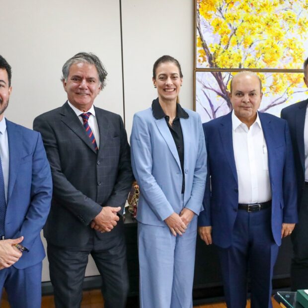 ibaneis procuradores