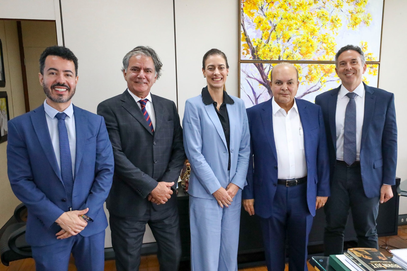 ibaneis procuradores