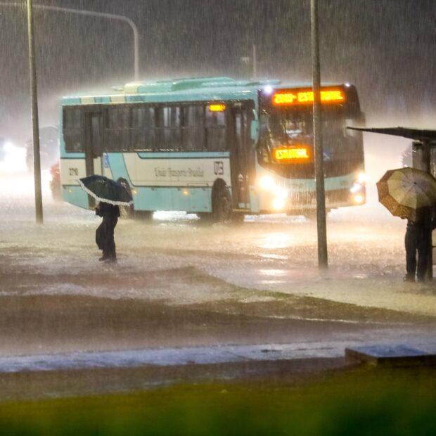 Foto: Joel Rodrigues/Agência Brasília​​​​​