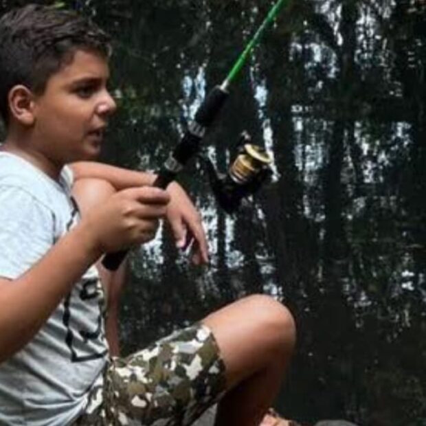 menino morre apos ser picado por abelhas