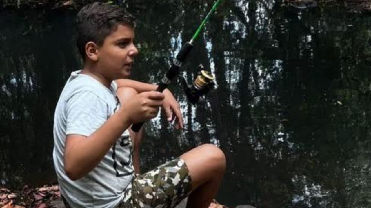 menino morre apos ser picado por abelhas