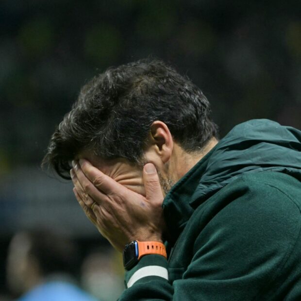 fbl libertadores palmeiras liga