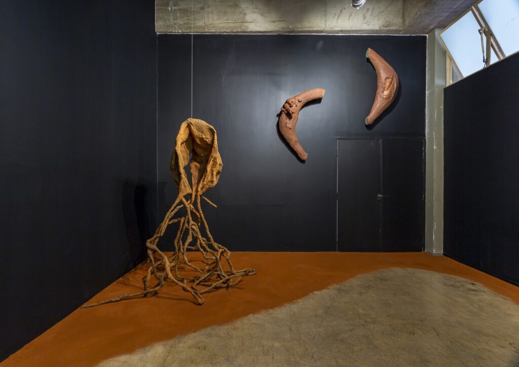 whatsapp image 2025 11 26 at 20.00.44