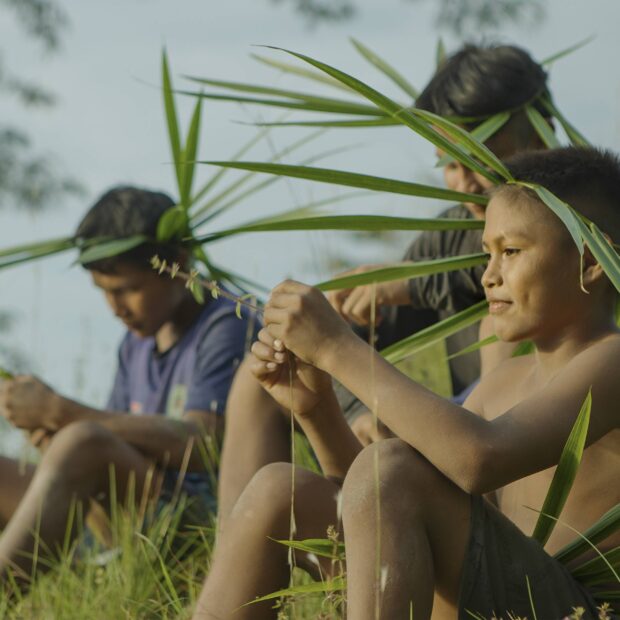 do colo da terra cocar de palha baniwa crédito divulgação