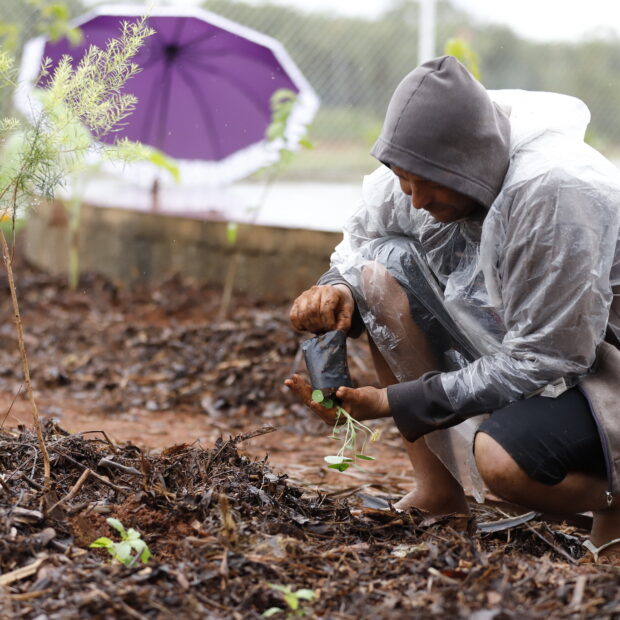 28.11. hortos. foto jhonatan cantarelle agência saúde df3