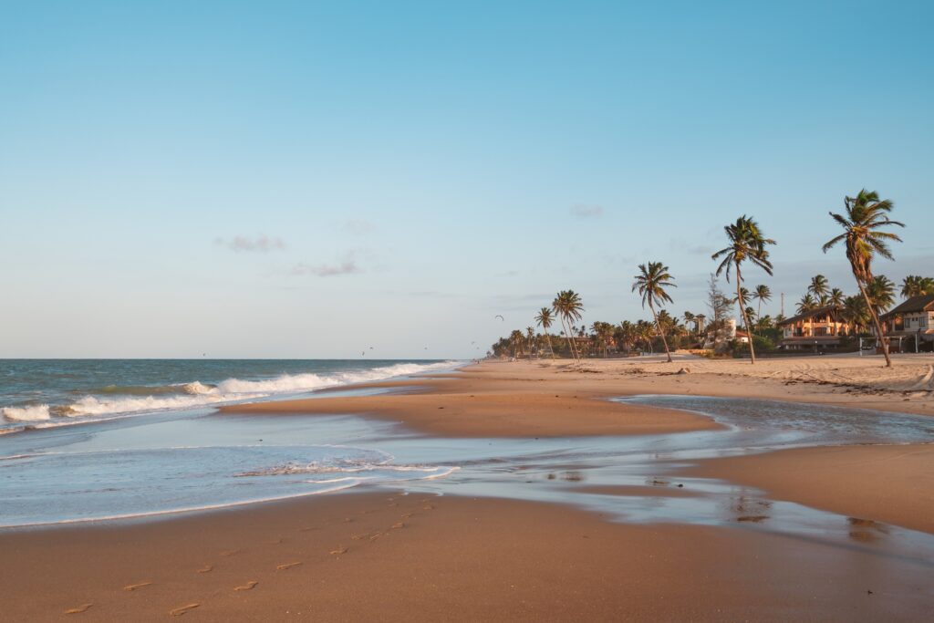 beautiful view of palm trees on the beach in northern brazil, ceara, fortaleza/cumbuco/parnaiba
