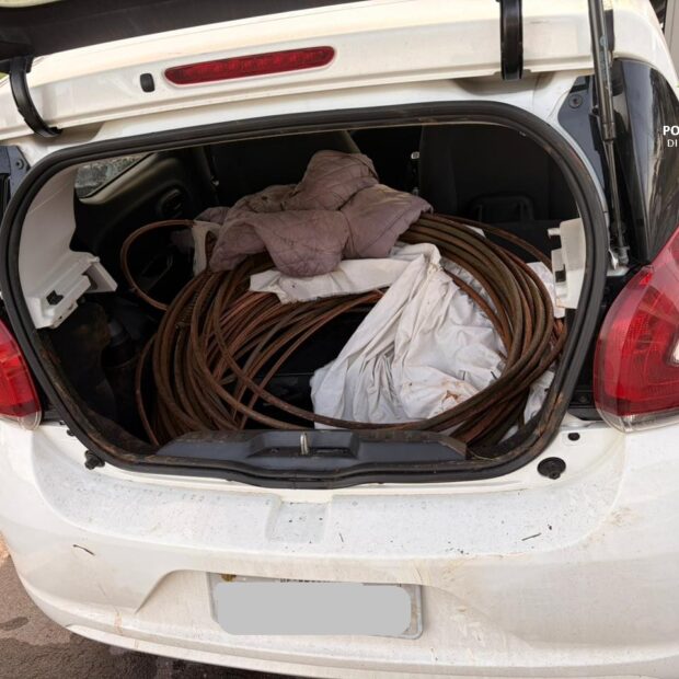 whatsapp image 2025 11 29 at 11.01.02