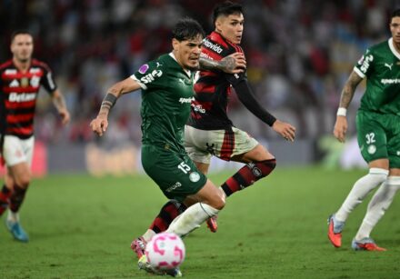 fbl bra flamengo palmeiras