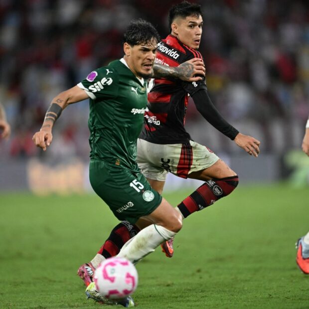 fbl bra flamengo palmeiras