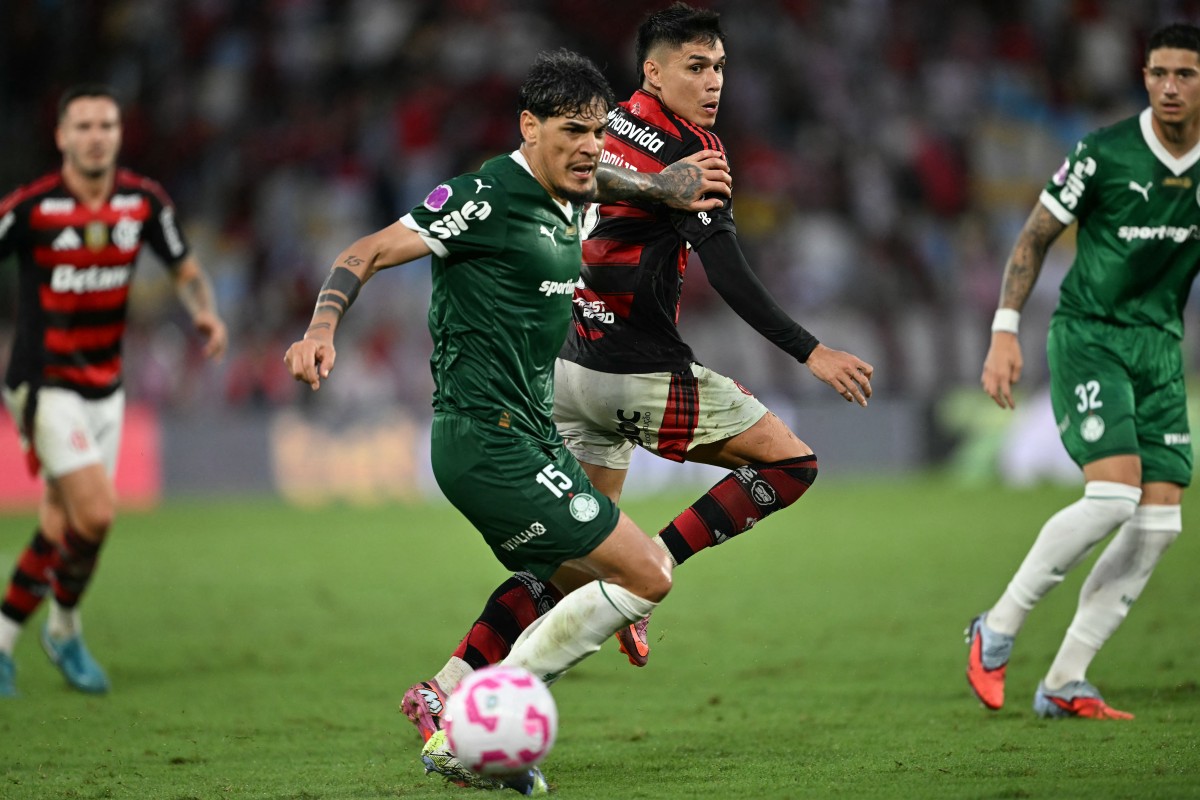 fbl bra flamengo palmeiras