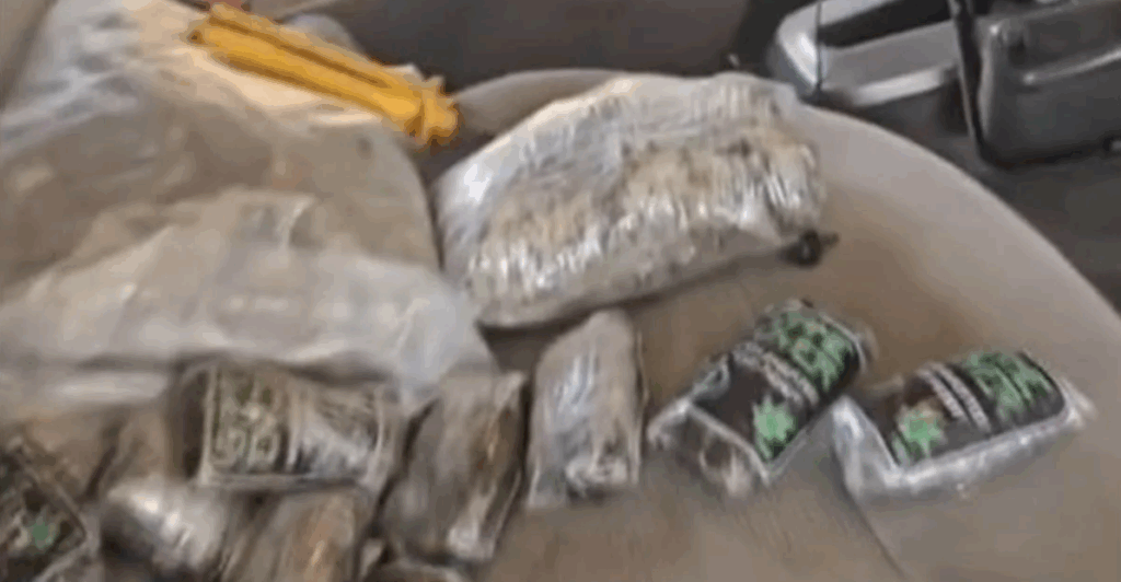 drogas apreendidas 6
