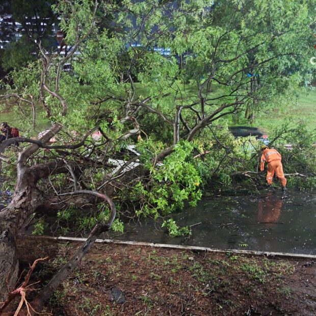 whatsapp image 2025 12 01 at 20.11.35