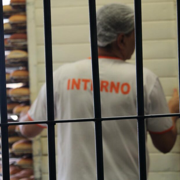 Foto: Divulgação/Seape-DF