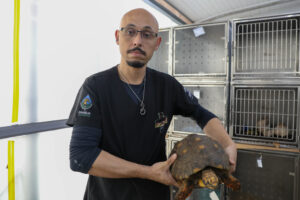 Foto: Joel Rodrigues/Agência Brasília