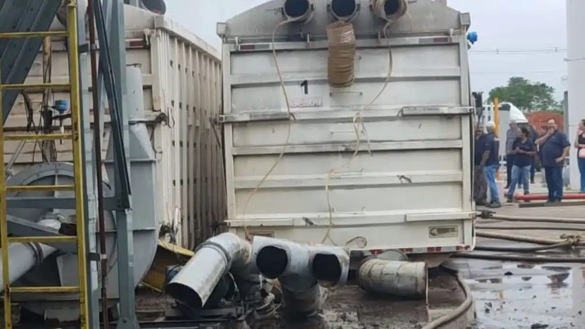 Foto: Divulgação/Redes sociais