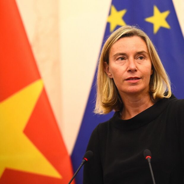 files vietnam eu diplomacy fraud education