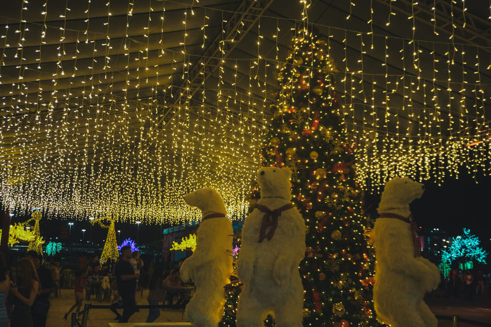 Foto: Divulgação/Secec-DF