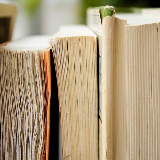 christmas background 1850645 1280