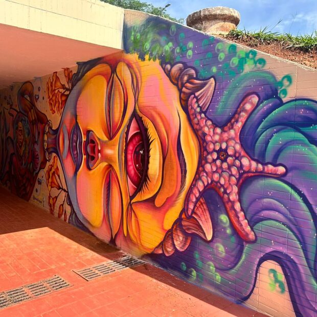 Foto: Divulgação/Novacap