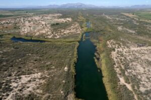Foto: GUILLERMO ARIAS / AFP