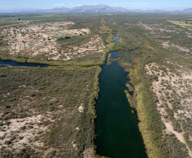 Foto: GUILLERMO ARIAS / AFP