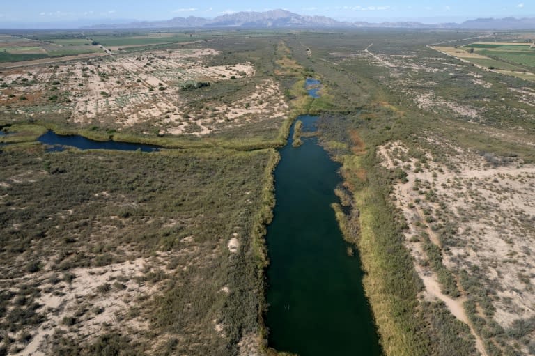 Foto: GUILLERMO ARIAS / AFP